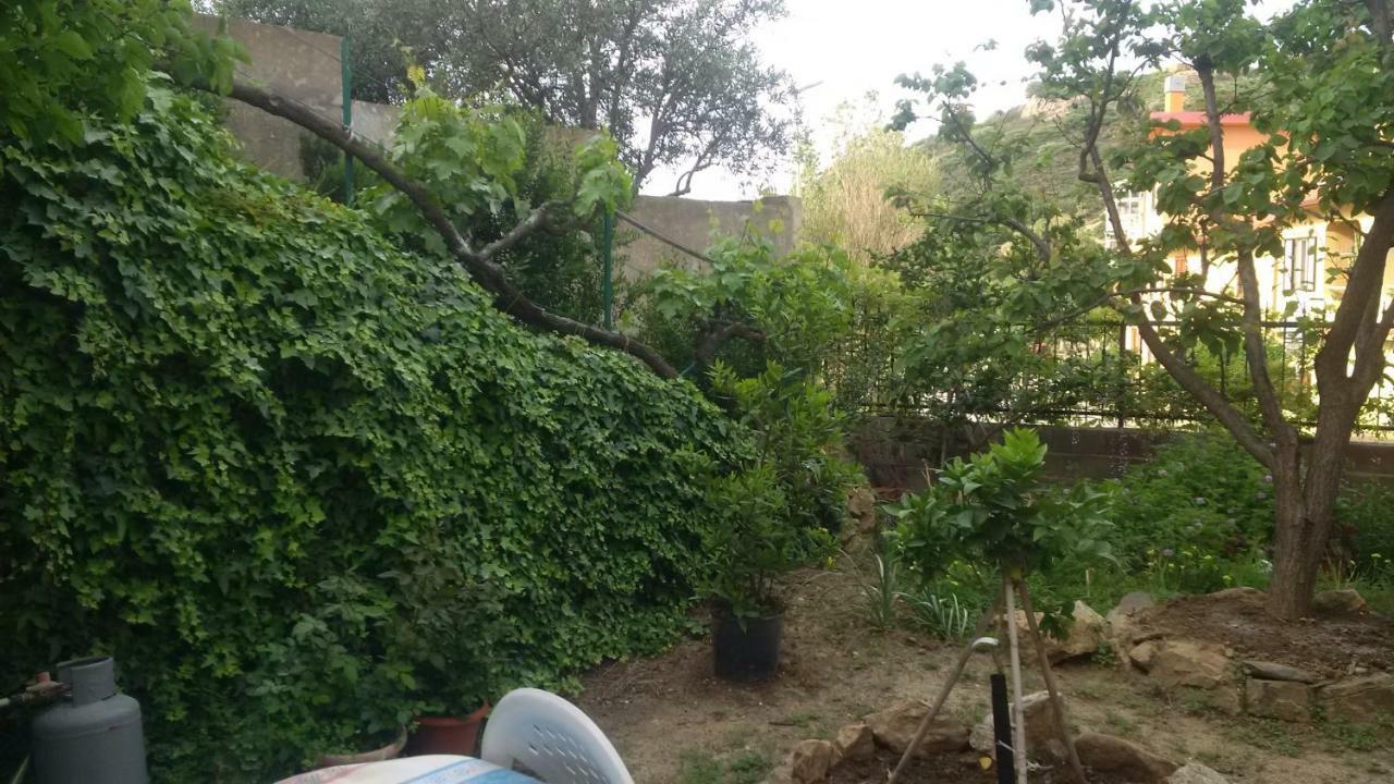 Lovely House Διαμέρισμα Nebida Εξωτερικό φωτογραφία
