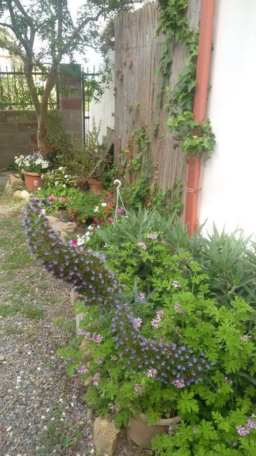 Lovely House Διαμέρισμα Nebida Εξωτερικό φωτογραφία